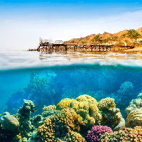 Красивый риф в Египте